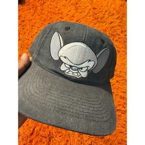 Vintage 1995 Animaniacs The Brain Snapback Hat Head Start Gray Warner Bros Cap
